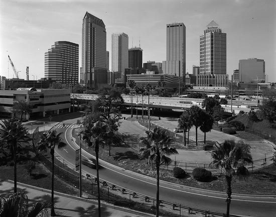 Tampa skyline