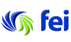 FEI logo